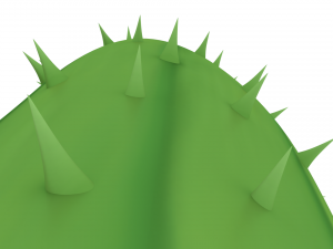 cactus Model 3D