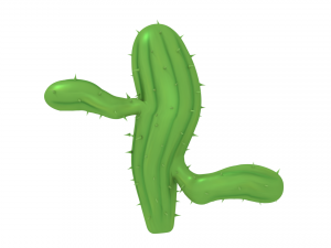 cactus Model 3D