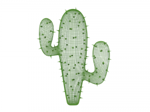 cactus Model 3D