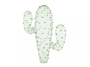 cactus Model 3D