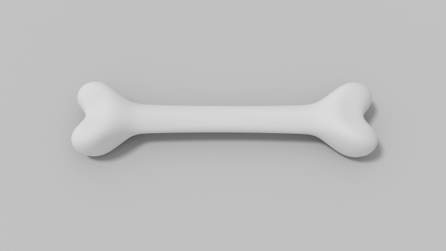 bone Model 3D .c4d .max .obj .3ds .fbx .stl .blend 