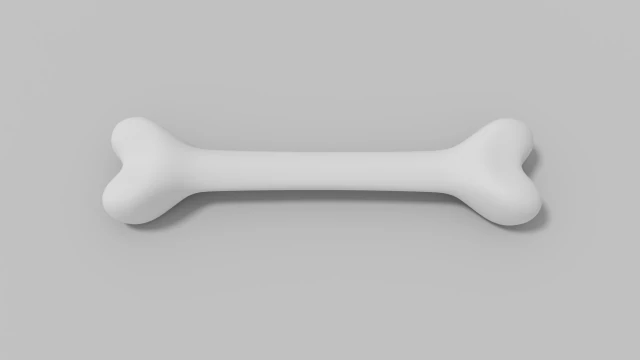 bone 3D Model .c4d .max .obj .3ds .fbx .stl .blend 