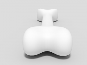 bone Model 3D