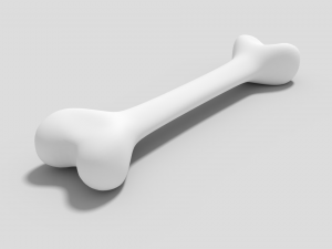 bone Model 3D