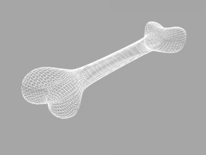 bone 3D Model