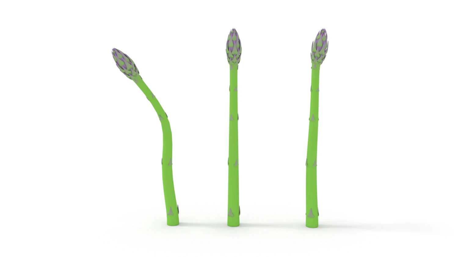 asparago Modello 3D .c4d .max .obj .3ds .fbx .stl .blend 