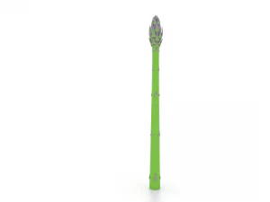 asparago Modello 3D