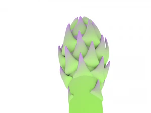 asparago Modello 3D