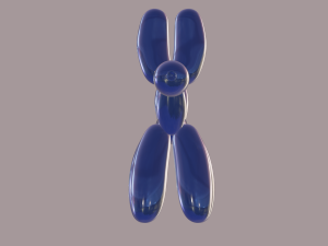 balloon dog Model 3D