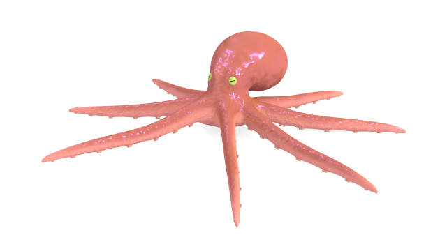 octopus rigged 3D Model .c4d .max .obj .3ds .fbx .stl .blend 