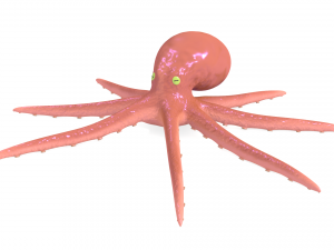 octopus rigged 3D Model