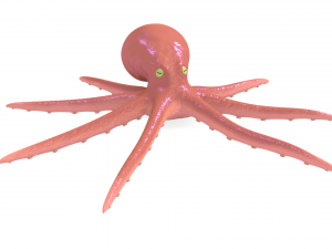 octopus rigged 3D Model