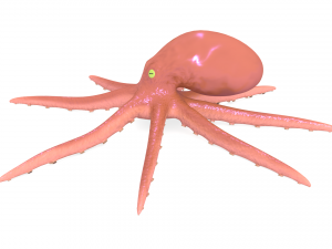 octopus rigged 3D Model