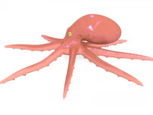 octopus rigged 3D Model