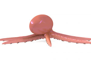 octopus rigged 3D Model