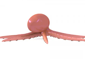 octopus rigged 3D Model