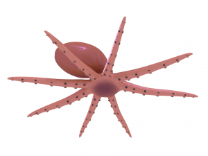 octopus rigged 3D Model