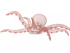 octopus rigged 3D Model