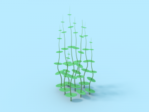 underwater grass 3D Model