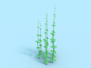 underwater grass 3D Model