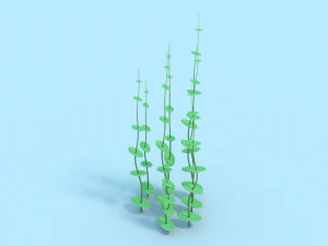 underwater grass 3D Model