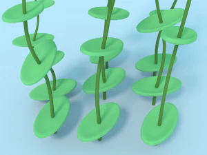 underwater grass 3D Model