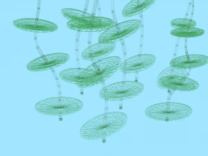 underwater grass 3D Model