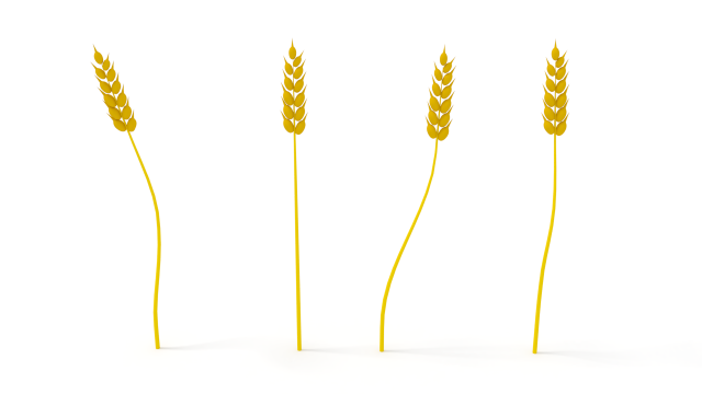 wheat 3D Model .c4d .max .obj .3ds .fbx .stl .blend 