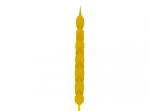 wheat 3D Model