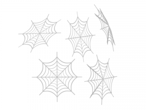 spider web 3D Model