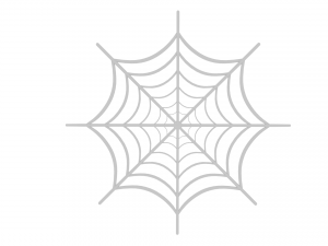 spider web Modèle 3D