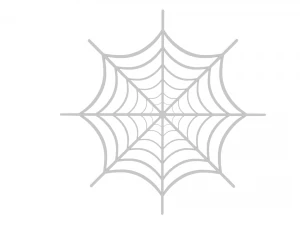 spider web 3D Model