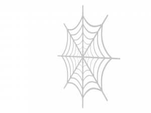 spider web Modèle 3D