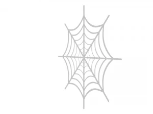 spider web 3D Model