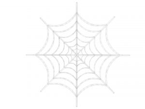 spider web Modèle 3D