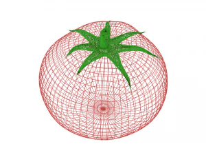 pomodoro Modello 3D