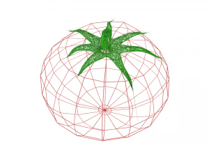 pomodoro Modello 3D