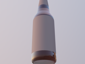 bottle Model 3D