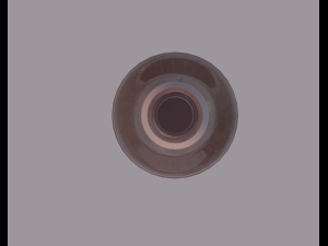 bottle Model 3D