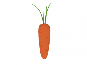 carrot 3D Model
