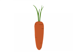 carrot Modelo 3D