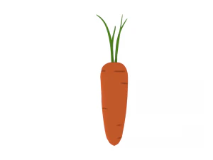 carrot 3D Model