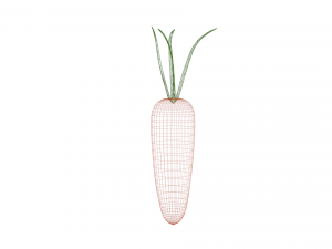 carrot Modelo 3D