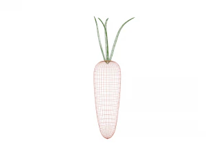 carrot 3D Model