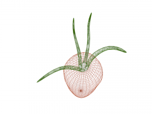 carrot Modelo 3D