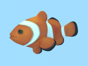 clownfish 3D-Modell
