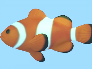 clownfish 3D Model