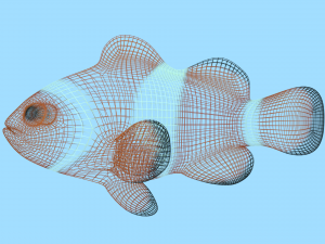 clownfish 3D 모델