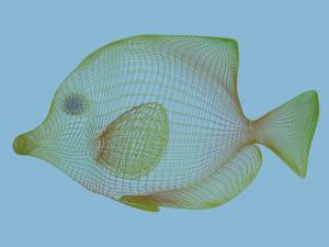 yellow fish 3D Model