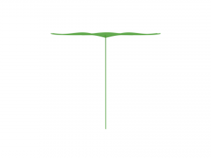four leaf clover 3D Model
